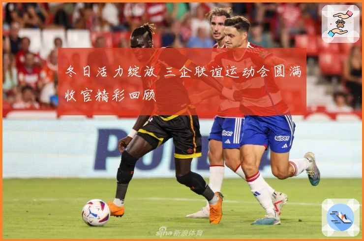 冬日活力绽放 三企联谊运动会圆满收官精彩回顾