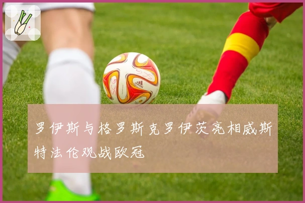 罗伊斯与格罗斯克罗伊茨亮相威斯特法伦观战欧冠