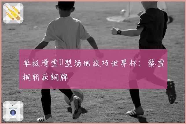 单板滑雪U型场地技巧世界杯:蔡雪桐斩获铜牌